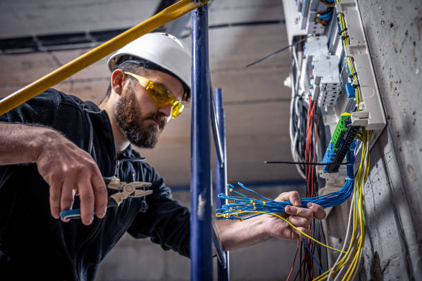 Best Best Electricians Near Me  in Coalfield, TN